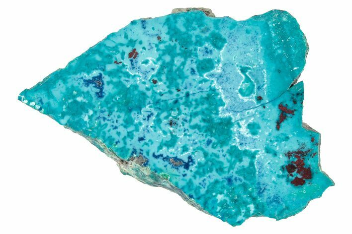 Vibrant Chrysocolla and Shattuckite Slab - Mexico #348740